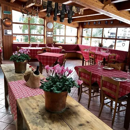 Flora Alpina Hotel 2*