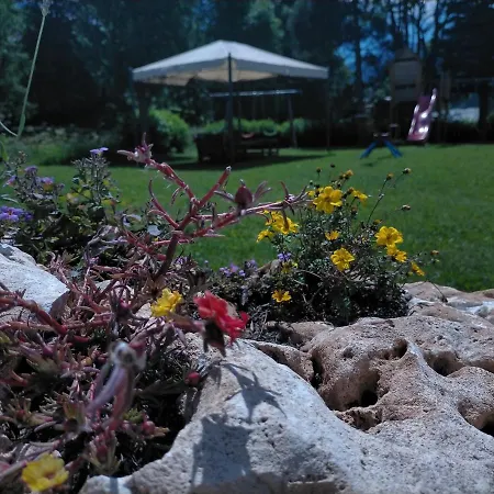 Flora Alpina