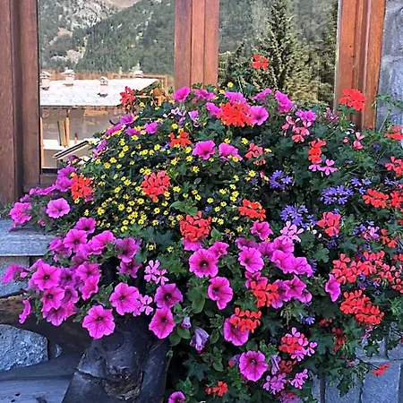 Flora Alpina