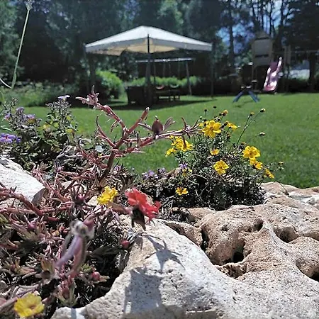 Szálloda Flora Alpina 2*