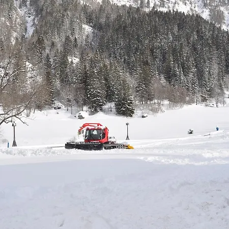 Flora Alpina Hotel 2*