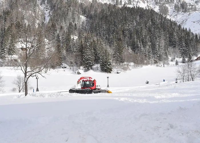 Flora Alpina Hotel 2*