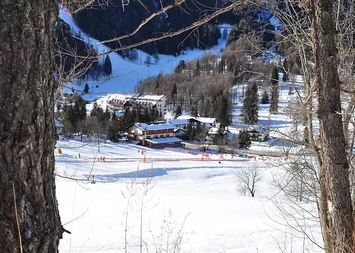 Flora Alpina Gressoney-Saint-Jean